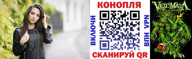 Бошки марихуана сатива  Купить где  Сертолово 